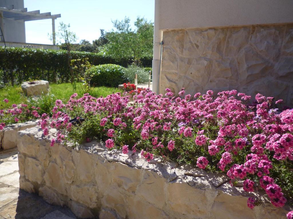 פטרצ'אנה Villa Luna With Seaview חדר תמונה